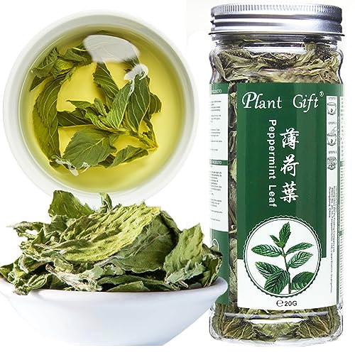 Plant Gift Peppermint Tea, 薄荷叶 100% Tè della menta piperita, tè della menta, congedo della menta piperita, tè della salute, borse di tè della menta piperita, medicinali tradizionali 30g/1.05oz