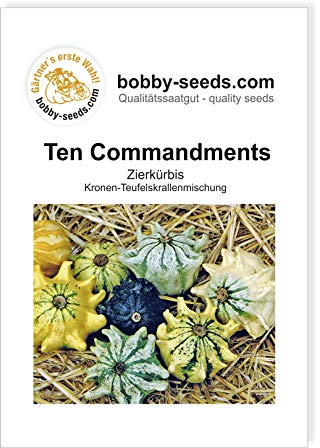 Ten Commandments Zierkürbis von Bobby-Seeds, Portion