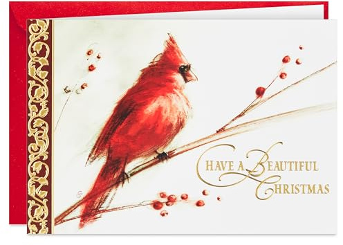 Hallmark Boxed Christmas Cards, Painted Cardinal (40 Cards and 40 Envelopes) Beautiful Christmas