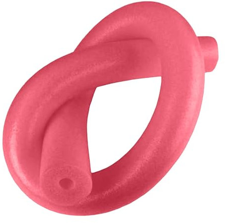 Schwimmnudel für Kinder & Erwachsene - Lange Schaumstoff Poolnudel - 6 Farben zur Auswahl - Schwimmhilfe Strand & Wasserspiele - Wasserspielzeug - Wassernudel (Rot, 1)