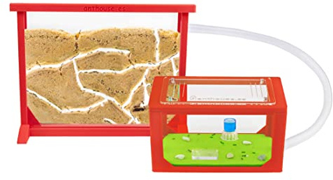 Anthouse - Natürliche Ameisenfarm aus Sand | 3D Rot Medium Set (Sandwich + Futterbox) | Inklusive Ameisenkolonie