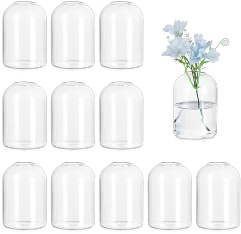 Hewory Små vaser för bordsdekoration bröllop: set med 12 vaser, rund glasvas för bröllopsdekoration, bord – söt blomvas, modern liten glasvas för Kawaii dekoration, vardagsrum, bröllop, fest | 9,5 cm, cylindervaser liten bordsdekoration, modern vas glas för bröllopsdekoration fest födelsedag bröllop hemnattvard