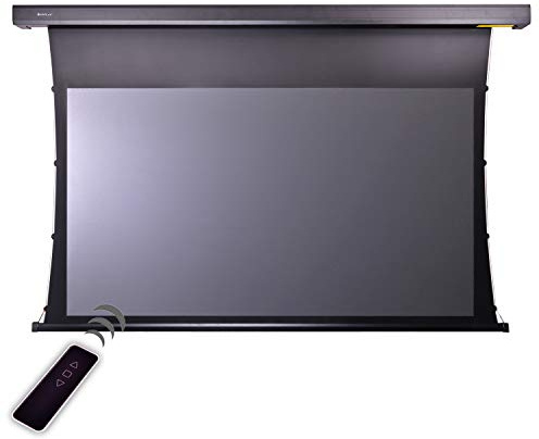 HiViLux® Tension CLR/ALR Motor Leinwand Dualspann System für UST-Beamer/Laser TV: HiViPrism Cinema HDR Hochkontrast/8K/4K/3D (100Zoll 16:9 Bild:221x124cm Schwarz)