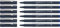 Schneider Pictus Fineliner (Strichstärke 0,3 mm, dokumentenechte Pigmentliner, metallgefasste Spitze, Gehäuse aus 85% recyceltem Kunststoff) 6er Pack, blau