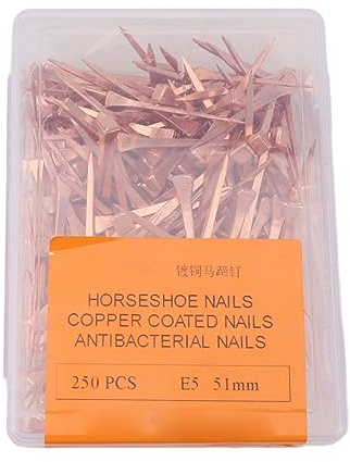 YUYTE Chiodi per Ferro di Cavallo da 250 Pezzi, Attrezzatura per Equitazione Equestre Antiruggine Placcata in Rame, con Scatola di Plastica, per la Cura degli Zoccoli del Cavallo e (51mm E5)