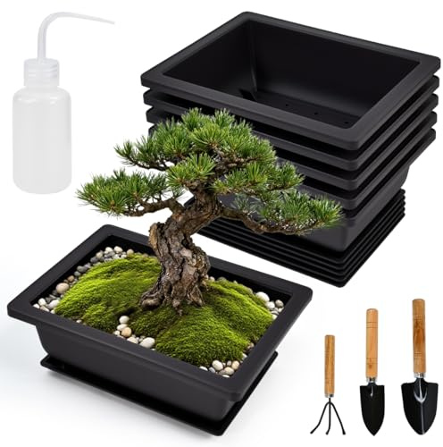 JNEYVIC 6PCS Grands Bols à Bonsaï Pot à Bonsaï en Plastique Bol à Plantes avec Soucoupe 16,5 x 12 x 6 cm Bol à Bonsaï Rectangulaire Pots d'Entraînement avec Arrosoir pour Jardin Salon Balcon
