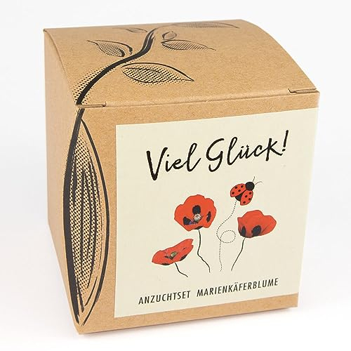 Kit de culture de coccinelle avec graines de coccinelle - Idée cadeau porte-bonheur de l'œuvre naturelle