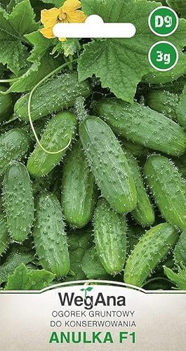 WegAna Pepino Molido Anulka F1 3g, Semillas de Hortalizas Robustas Semillas de Cultivo Balcón & Jardín