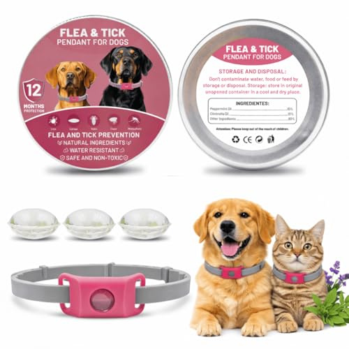 Collier Anti Puces et Tiques pour Chien et Chat, Pendentif Répulsif aux Huiles Essentielles, Silicone Réglable, avec Capsules Remplaçables, Étanche et Durable (Rose Rouge)