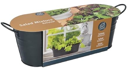 Fröset odlingsset zinkpanna sallad mixture babyblad liten trädgård för fönsterbrädan