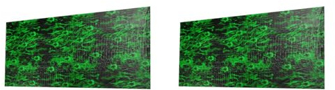 Masslla 2 pellicole per stampa a trasferimento ad acqua, per idrografia e immersione, motivo teschio, verde, 0,5 x 2 m