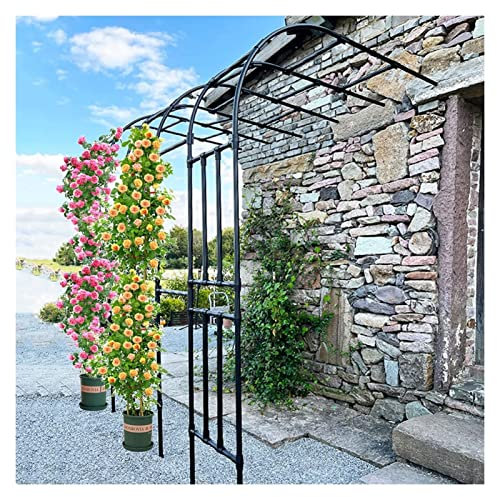 Demi Voûte En Métal, Arche De Jardin, Arche De Roses, Treillis En Arc, Tonnelle Pergola Pour Plantes Grimpantes, Imperméabiliser, Patio D'arrière-cour De Jardin De Pelouse, 2.4M, Noir ( Size : 0.9x2.4