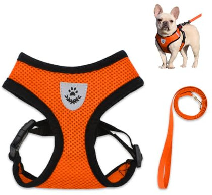 Bieiyhe Katzengeschirr mit Leine Ausbruchsicher M, Hundegeschirr Welpen Verstellbar,Sicherheitsgeschirr Katze Brustgeschirr,Katzenleine Kittengeschirr,Cat Harnesses,Cat Leash für Kitten Hunde -Orange