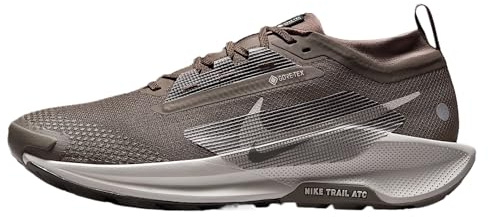 Nike Mens Pegasus Trail 5 Gore-TEX Ironstone/College Grey/Velvet Brown 9 Medium