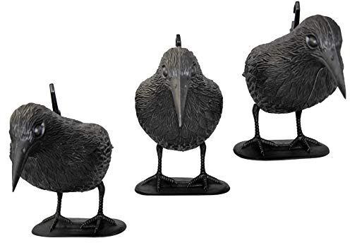 Lead Home Premium duvskrämma, rabe, set om 3 – väderbeständig plast – inklusive e-bok, skrämma bort fåglar | fågelskrämma, naturligt. Skadedjursbekämpning, skydd mot irriterande fåglar duvor, måsar,