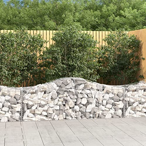 Chaduof Lot de 6 paniers gabions avec arche surélevée - En fer galvanisé - Pour plantes - Spirale à herbes - 200 x 50 x 60/80 cm