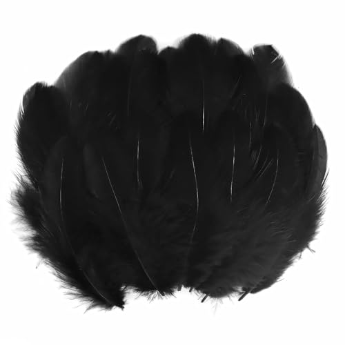 SNBUHA 300 Pcs Black Feathers, Feathers for Crafts, Craft Feather for Wedding Home,Dream Catcher Supplies,DIY Crafts and Halloween Holiday Party(8-11 cm/3.15-4.33 in, Black)