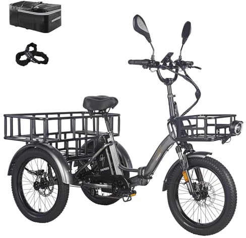 Fafrees F20 Mate Triciclo Eléctrico para Adultos 48V 21 Ah, 20 Pulgadas, homologado Bicicleta eléctrica Plegable 180kg, Plegable De 3 Ruedas 65N.m, Frenos de Disco hidráulicos, E Bike Hombre Mujer