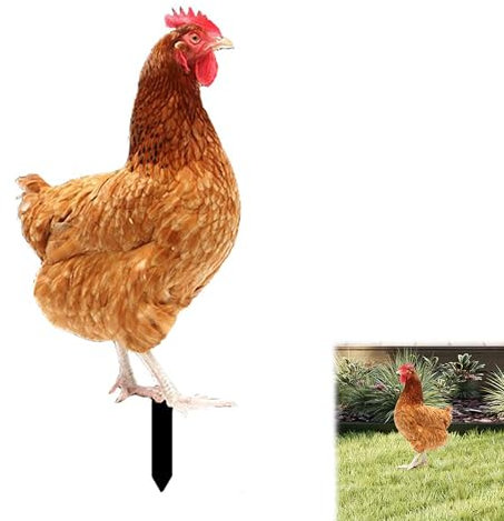 De Cour De Poulet, Décor Acrylique 2D Statue Poule, Sculptures Réalistes, Décorations Décoratives pour Jardin, Cour, Cadeau pour Les Amoureux du Jardin