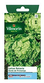 Vilmorin - Sachet graines Laitue Batavia Dorée de printemps