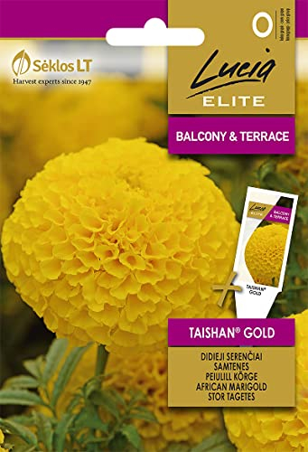 Lucia Elite | AFRICAINE MARIGOLD TAISHAN® GOLD des graines | Graines de Fleurs | graines de plantes | Graines de jardin | 1 paquet