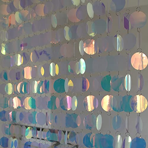 ECYC Ltd Sparkle Sequin Beaded Curtain Door String Curtains, PVC Sequin Bead Doorway Curtain Door Window Decor Room Divider Blind for Home Wedding Party Decorations (5 Strips, Transparent AB)