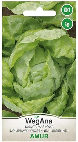 WegAna Semi di Lattuga Armur 1g, Semi di Lattuga Verde, Semi di Ortaggi Robusti, Semi di Ortaggi, Semi da Serra, Semi da Serra