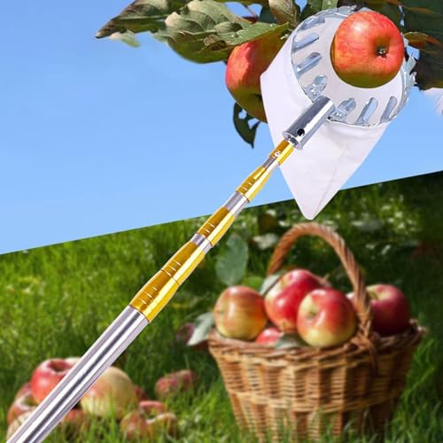 raccogli asparagi pinza frutta Strumento Per La Raccolta Della Frutta Con Cesto E Asta, 2.5 3 4 5 7 10 M Cacciatore Telescopico Per Mele, Arance, Limoni E Avocado Per Grandi Alberi Alti, Raccoglitore