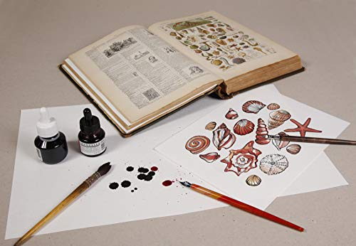 Clairefontaine 975401C - Ries mit 50 Blatt Löschpapier, 29,7x42 cm 250g, 1 Ries, weiß