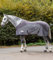 Waldhausen Fleece/Fliegendecke Comfort, grau, 125 cm