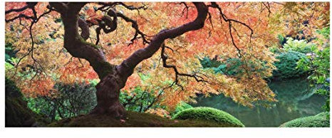 Kunstdruck auf Glas – Japanischer Garten – Panorama Breit, Druck auf Glas, Glasbild, Wandbild, Glasbild, Glasbild, Glasbild, Glasbild, Glasbild, Glasdruck, H x B: 30 x 80 cm