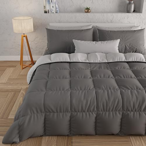 PETTI Artigiani Italiani - Couette Chaude Hiver 240x260 Bicolore Gris ClairGris Foncé, Double Face, Couette pour lit 2 Personnes, en Microfibre 300g/m², Made in Italy
