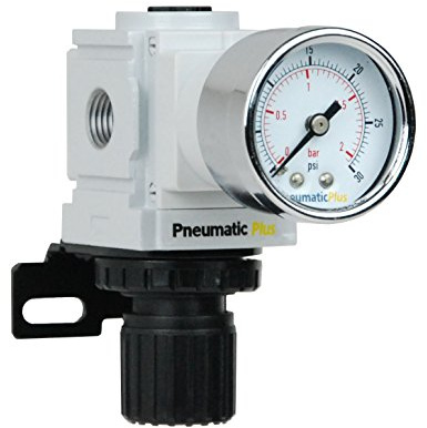 PneumaticPlus PPR2-N02BG-2 Miniature Air Pressure Regulator 1/4 NPT - Gauge, Bracket, Instrument Pressure (3-30 PSI)