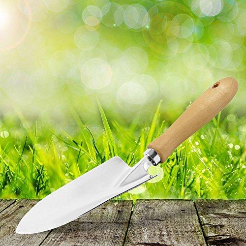 Bon Jardin Garten Handschaufel verzinkt 30 cm Griff aus Buchenholz