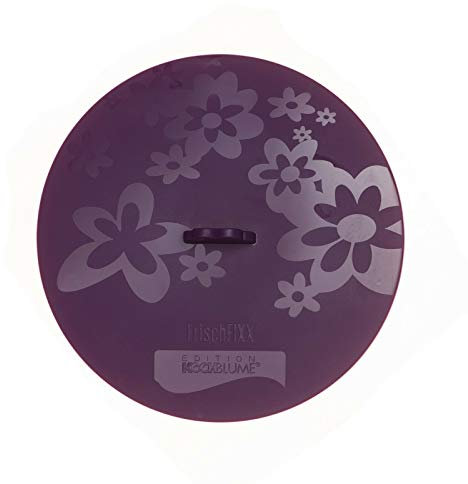 Kochblume| FrischFIXX 13 cm Lila