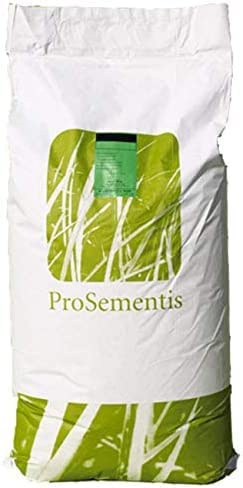 ProSementis Rasensamen Nachsaatrasen I Schnellkeimende Sportrasen Saatgut mit Poa Pratensis zur Nachsaat RSM 3.2 I PS-2404 25kg