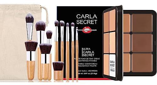 FantasyDay Professionale 10 Colori Coprenza Elevata a Lunga Tenuta Correttore Crema Concealer Palette Contouring Viso Correttori Makeup Gift Set per Hide Occhiaie e Imperfezioni con 11 Pennelli Trucco
