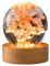 Veilleuse boule de cristal de fleur, lampe boule de verre de 6 cm avec bois avec base de lumière LED, lampe de nuit de spécimen de fleur de chargement USB avec support (marguerite rouge)