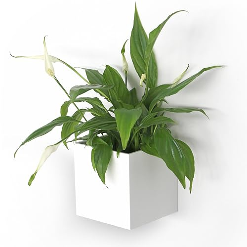 KalaMitica - Magnetischer Würfel „Kosmos“, Aufbewahrungsbox für Magnettafeln und andere Metalloberflächen - Weiß lackiert mit matter Oberfläche - 9,5 x 9,5 x 9,8 cm