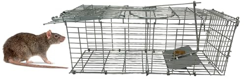 Repulseo® Piège à Rat et Souris Vivante en Acier XXL ★Marque Francaise★, Attrape Rongeurs Humain, Nasse à Loir et Mulot Réutilisable, Alternative Tapette Raticide Souricide [Respectueux des Animaux]