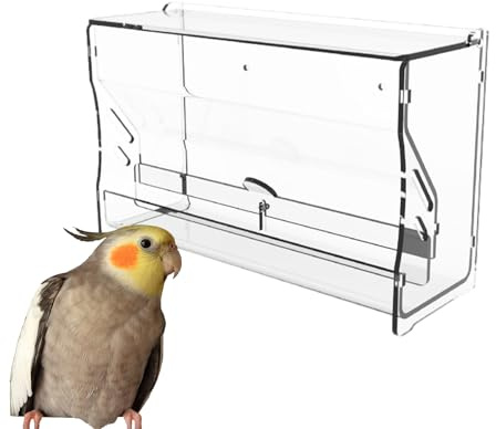 Distributeur de nourriture pour cailles - Mangeoire à eau pour poulets - Distributeur d'eau pour oiseaux, perruches, cage pour animaux de compagnie, conteneur de nourriture pour petites volailles et
