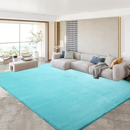 SK Studio Teppich Kurzflor Weiche Indoor Flauschige zerfeste Teppiche Moderne Wohnkultur für Schlafzimmer, Arbeitszimmer, Büro, Flur und Küche Hellblau, 200x250cm