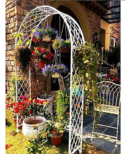 LINGOSHUN European Wrought Iron Pergola Arbor,Solid Grid Independent Design Metal Garden Arch for Climbing Plants,Durable/White / W1.5×H2.3m