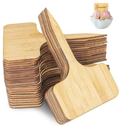 GIDWRIY 40 Pezzi Etichette per Piante Bambu,Cartellini per Piante da Esterno,Marcatori Etichette Erbe da Giardino,Targhette Erbe da Giardino,Segna Verdure Orto,Marcatori Per Verdure per Fiori