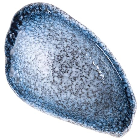 AKOOSY Coupelle Sauce Céramique Antidérapante Assiette Compacte et Stable pour Dips Bol Multifonctionnel pour Entrées Facile à Nettoyer Usage Quotidien