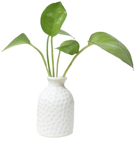 VALINK Petits vases en céramique pour fleurs, vase décoratif en céramique, vase mignon de bureau, arrangement floral, décoration pour la maison, la chambre à coucher, blanc, VALINKov69pxuf51-01