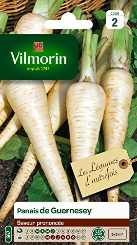 Vilmorin 3771242 Pack de Graines Panais de Guernesey