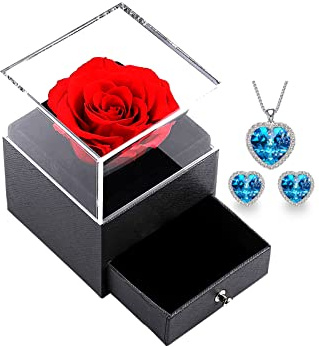 xuehaostore Rose Eternelle avec Collier, Préservée Rose Collier Amour et Boucle D'oreille Bijoux, Bijoux Cadeau pour Femme Anniversaire/Cadeau de Noël/Cadeau Saint Valentin (Silver-blue)