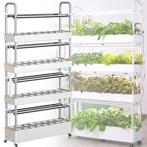 Tour de culture verticale d'intérieur intelligente multi-couches pour jardinage domestique efficace Système hydroponique pour herbes et légumes frais