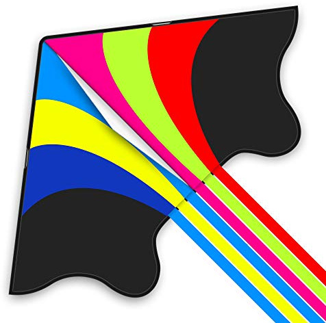 Mint's Colorful Life Delta Kite for Adults, Extremely Easy to Fly Kite (Flying Rainbow)